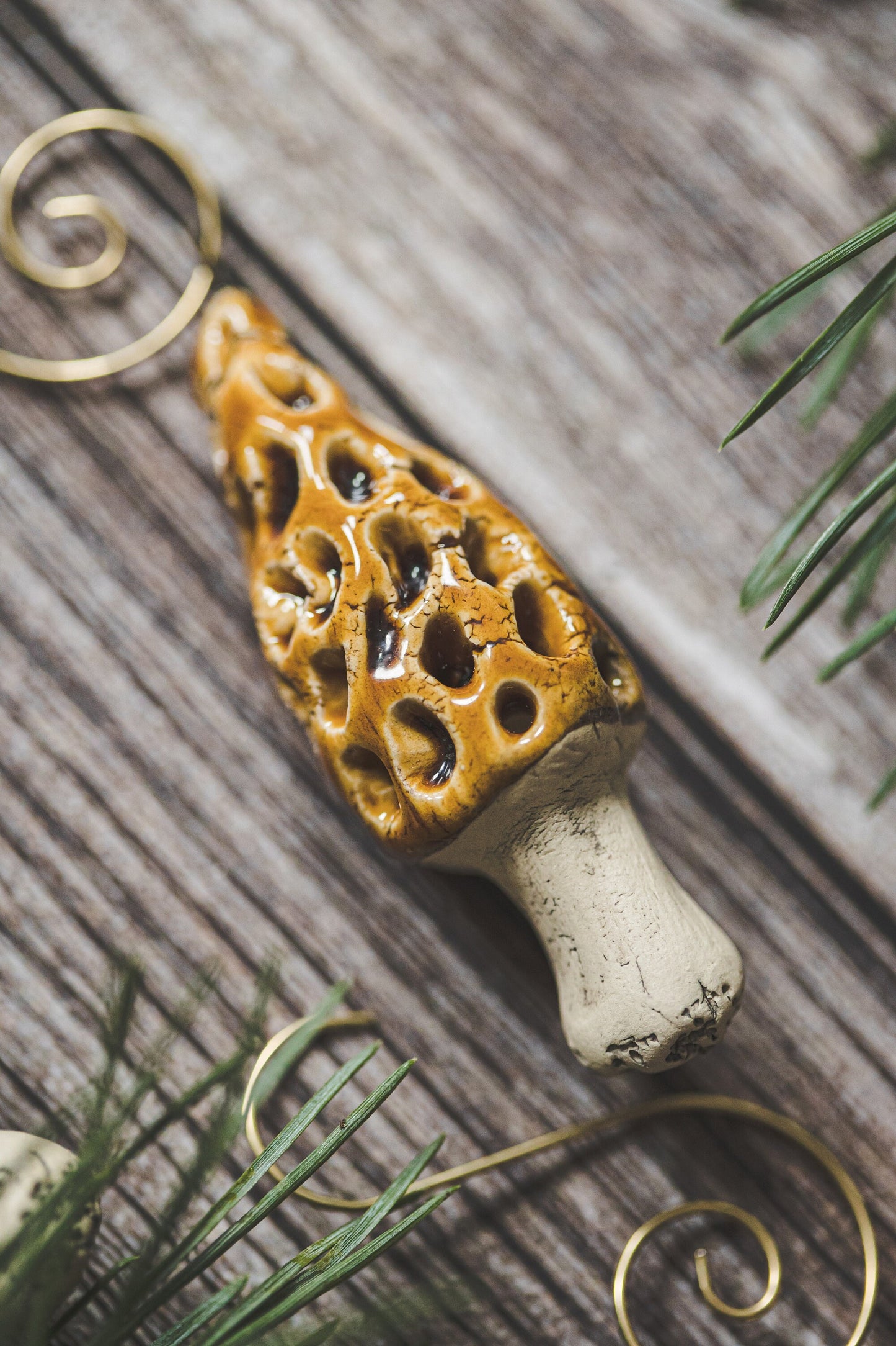 Vintage morel mushrooms