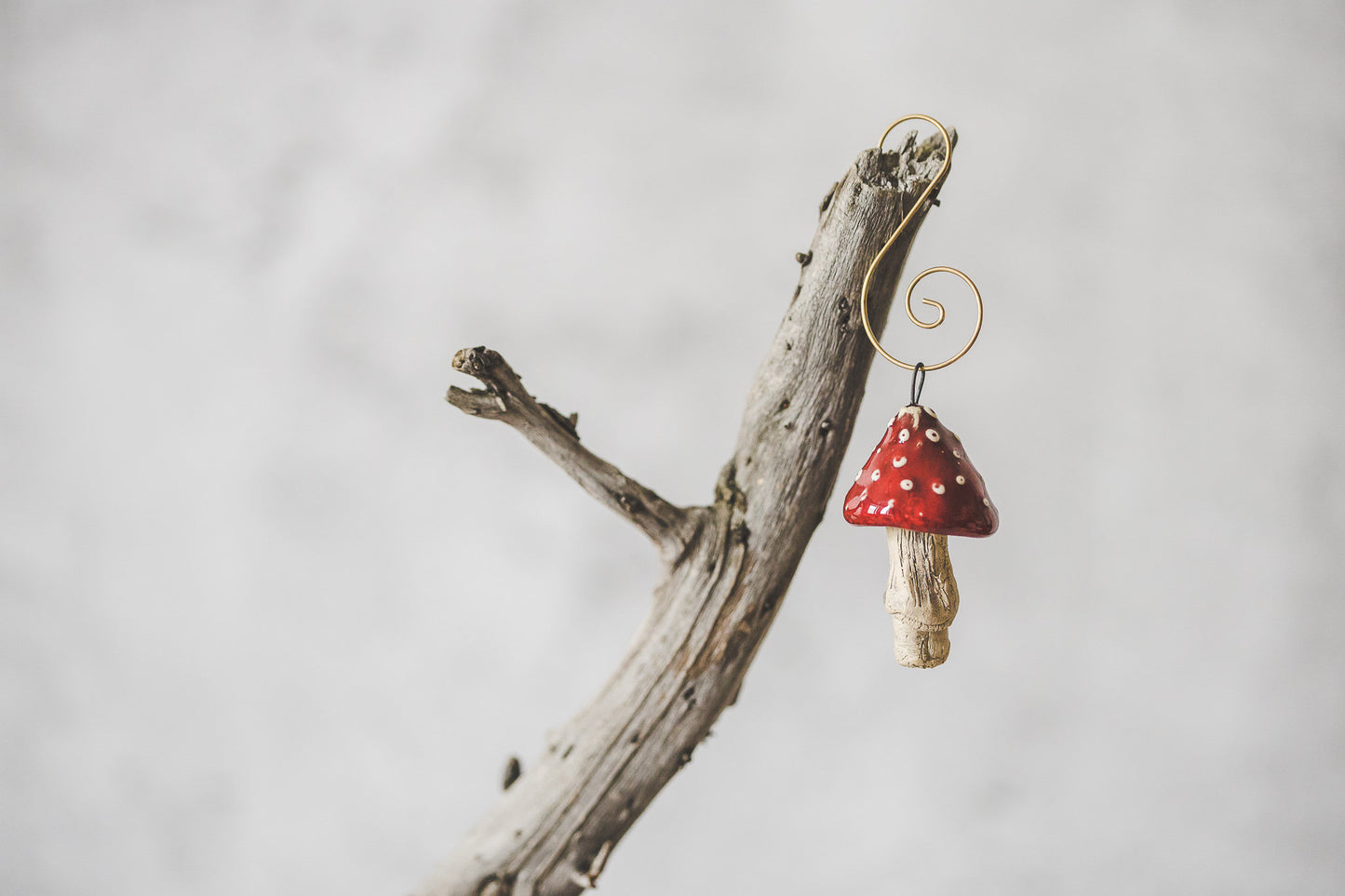 Christmas mushroom ornament set - Set of six mushrooms Christmas decoration - Amanita and Boletus mushroom Christmas gift