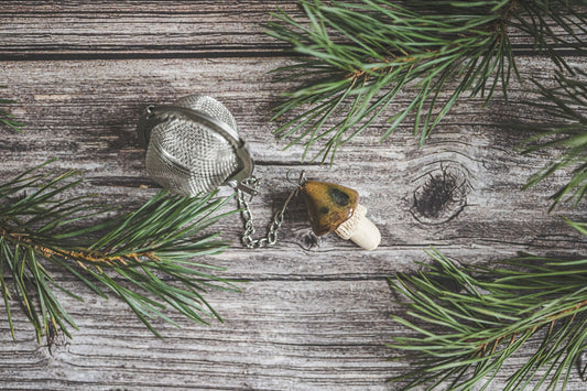 Loose leaf tea strainer with brown pottery mushroom - Tea infuser with ceramic mushroom charm - Christmas gift